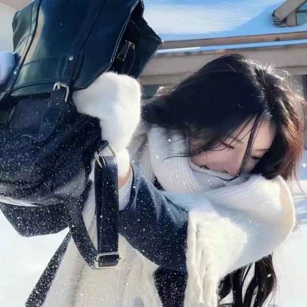冰洋遇险
