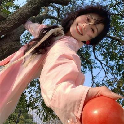 莫西干回到故乡